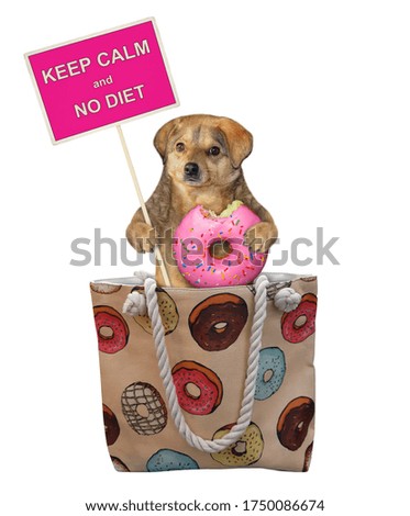 The beige dog with a pink bitten donut and a sign that says keep calm and no diet is sitting in a cloth bag. White background. Isolated.