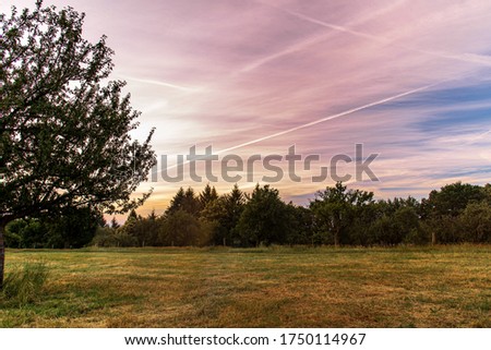 Landscape at sunrise with pink sky
