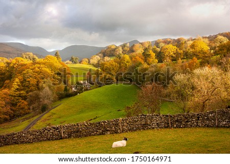 Stone wall to divide farming fields with wooden gate. Beautiful colourful autumn dramatic landscape, the UK Lake District village. Vacation, travel, holiday, quiet inner peace, harmony, time away Royalty-Free Stock Photo #1750164971