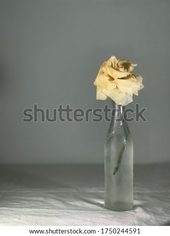 yellow beige rose flower on a short leg in a long glass bottle against a background of light fabric and stecs with soft scattered light without hard shadows