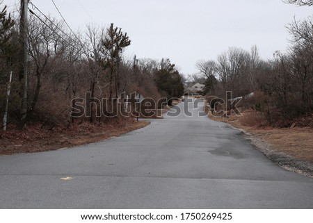 A rural road that goes through the woods. 