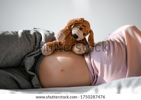 Pregnant woman lies on a bed in the morning, prepares for the birth of her first child, laid a dog’s soft toy on her pregnant belly. Motherhood, care, health and beauty