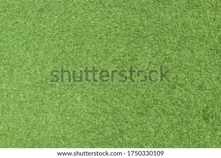 Green grass field texture background