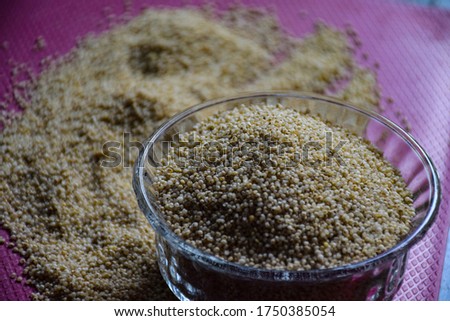 Stock photo of Organic and healthy  dry raw barnyard millet  kept in glass bowl under natural light, at Bangalore, India. it is a good source of highly digestible protein good for diabetic patient.