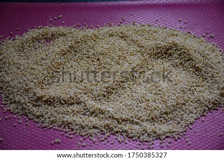 Stock photo of Organic and healthy dry raw barnyard millet kept on pink color board under natural light, at Bangalore, India. it is a good source of highly digestible protein good for diabetic patient