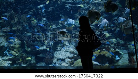 Woman visit aquarium in zoo park