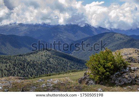 View of the Altai mountains on a summer cloudy day.