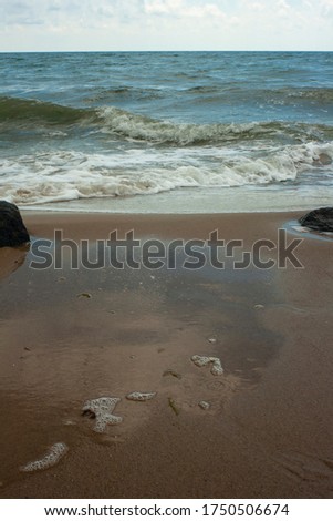 Sea waves. Vertical photo of wet sand on an empty beach. Foaming sea water.