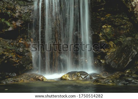 Composition of cascade, stream and stones on endemic scenary.