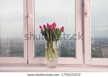 tulips on the window of the apartment. Transparent glass vase with spring flowers. High-rise Windows. View from the window. Flowers in a vase with water. background. Copy space. Holiday concept. Royalty-Free Stock Photo #1750523372