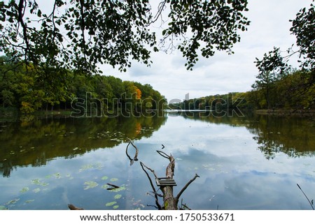 dark gloomy autumn day on little desolate natural lake, fallen trunk lies on bottom, water-lilies and deciduous trees reflections on still water surface, countryside eco-tourism concept background