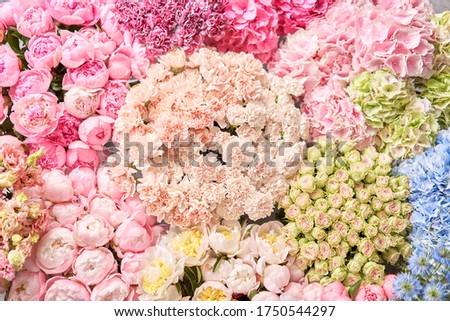 Floral carpet or Wallpaper. Background of mix of flowers. Beautiful flower for catalog or online store. Floral shop and delivery concept. Top view. Copy space