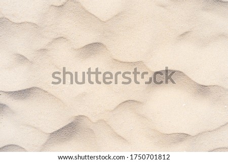 Copy space of sand beach and seashell texture abstract background. Summer vacation and travel relaxation concept. Vintage tone filter effect color style.