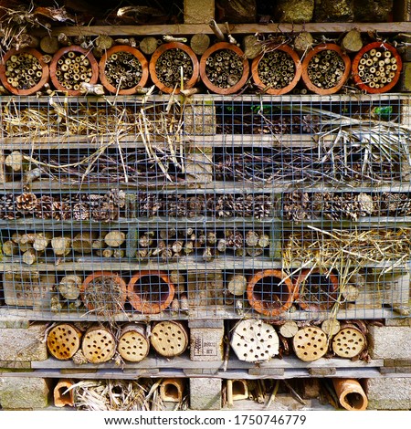 Amazing deluxe home for bugs and insects