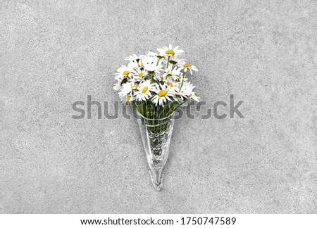 Daisies in glass cone on concrete background.