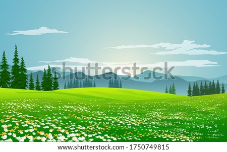 sunrise in meadow with flowers and pine trees