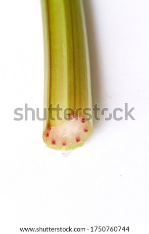 Celery experiment showing evaporative transport in plants and cohesion and adhesion of water. Science investigation with red and blue food dye. Royalty-Free Stock Photo #1750760744