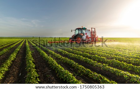 Tractor spraying pesticides on soy field  with sprayer at spring Royalty-Free Stock Photo #1750805363
