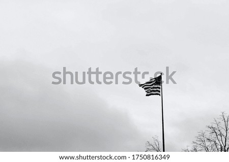 Black and white photo of the American flag on Liberty Island in New York City