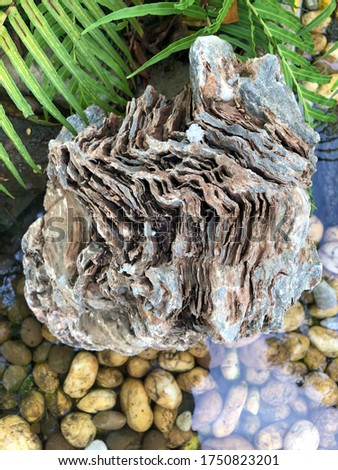 Stone Rock Texture outdoor nature