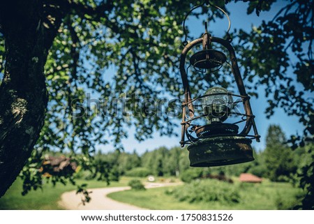 A closeup shot of a lamp hanged on the branch of a tree
