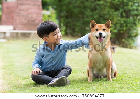 Asian boy are training for Shiba Inu dogs in the garden. An Asian boy plays with a Shiba Inu dog who has a picnic in the garden. Royalty-Free Stock Photo #1750854677
