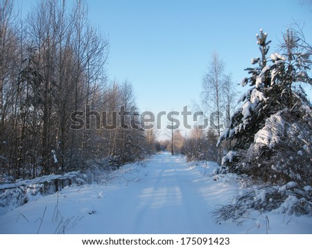 Road in the woods in winter. Blue sky.
