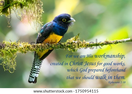 Bible Verses printed on beautiful bird photography.  Inspirational. Royalty-Free Stock Photo #1750954115