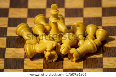 White Knight standing in a set of fallen chess pieces