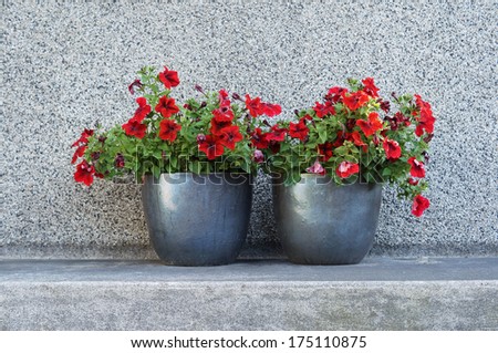 two red flowers Royalty-Free Stock Photo #175110875