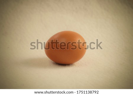 one piece of fresh chicken egg