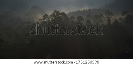 landscape photo of morning sun shining on the mist and trees on the mountain after heavy rain