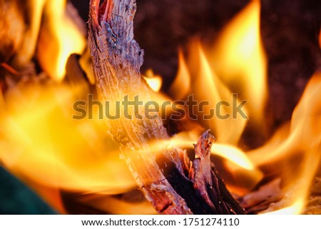 fire in fireplace, photo picture digital image