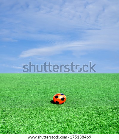 soccer ball on a green field against the sky clouds