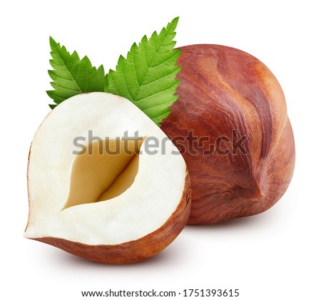 Hazelnut nut. Hazelnut isolated on white background. Hazelnut clipping path. Royalty-Free Stock Photo #1751393615