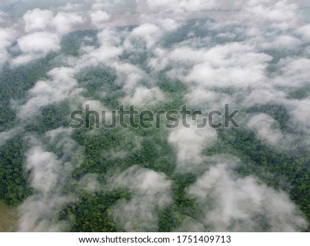 small clouds flying over a dense forest, view from space.