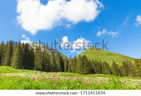 Landscape view of Gantrischseeli at the Switzerland nature park, Natural scenery with a river in the middle between the mountains. On a clear day in the summer sky, for travel and holiday vacations.