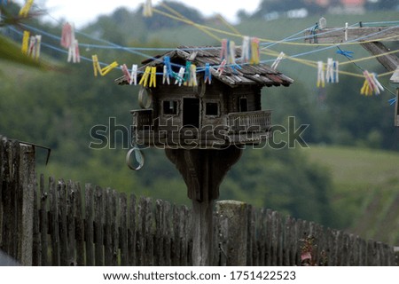 lovely wooden birdhouse in a green garden, clothesline in front