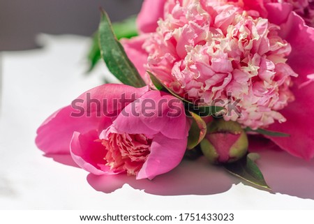 Flower composition. Close-up bouquet of delicate pink peonies lies on a white surface. Spring or summer floral background. Photo for flower shops, greeting cards. Mother's day concept. Soft focus. 