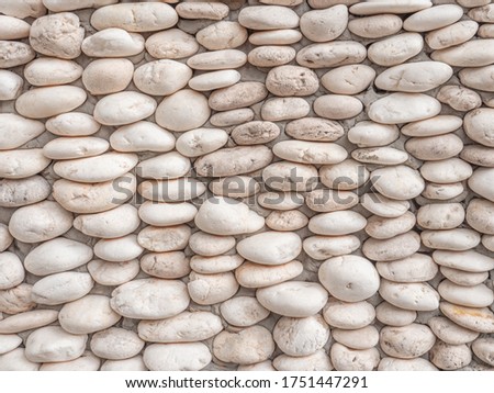 random pattern of white sea stone clinged on the wall of a home nearest the sea beach, background concept on photography image.