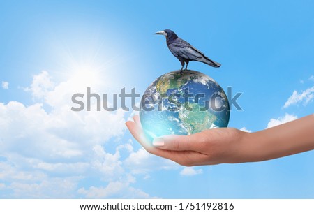 A crow on the earth - Woman holding globe on her hand with bright blue sky "Elements of this image furnished by NASA"