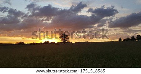 sunset germany sun cool light summer Royalty-Free Stock Photo #1751518565