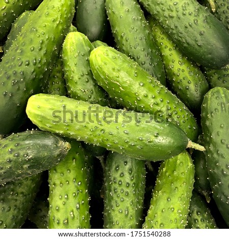 Macro photo food vegetable cucumber. Stock photo green fresh cucumber vegetable Royalty-Free Stock Photo #1751540288