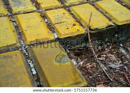 Photo of a couple yellow brick