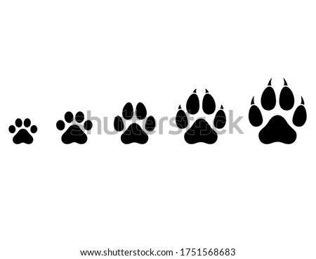 Vector cat and dog paws of different sizes