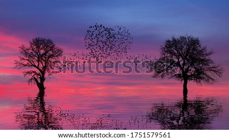 Silhouettes of flying birds and dead tree at sunset with water effect (in shape of heart) 