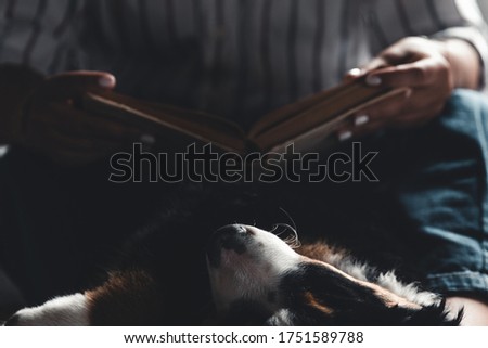 woman and dog lifestyle image. Bernese Mountain Dog is sleeping in his arms.