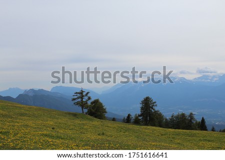 SFRUZ Stock Photos and Images