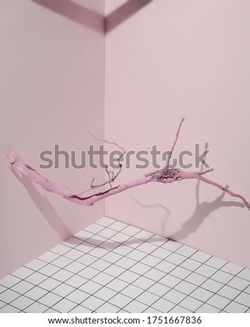 Dry tree branch on a checkered pink background. Concept template nature blog, social media, diet concept. Conceptual art minimalistic photography of dry hair. Copy space