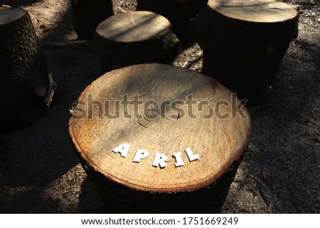The word APRIL in paper letters on a background of wood stump. The shadows from the trees lay on a stump.
